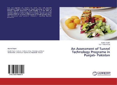 An Assessment of Tunnel Technology Programe in Punjab- Pakistan