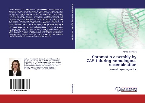Chromatin assembly by CAF-1 during homologous recombination: A novel step of regulation