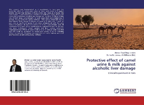 Protective effect of camel urine & milk against alcoholic liver damage: Clinical Experiment in Rats