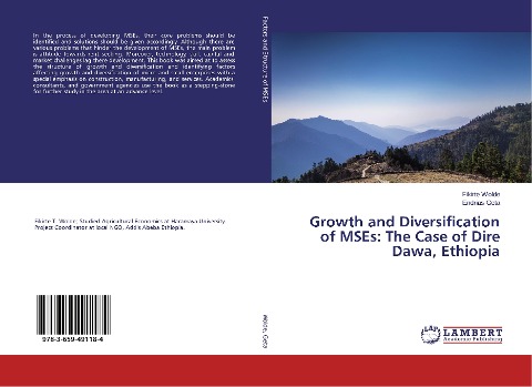 Growth and Diversification of MSEs: The Case of Dire Dawa, Ethiopia