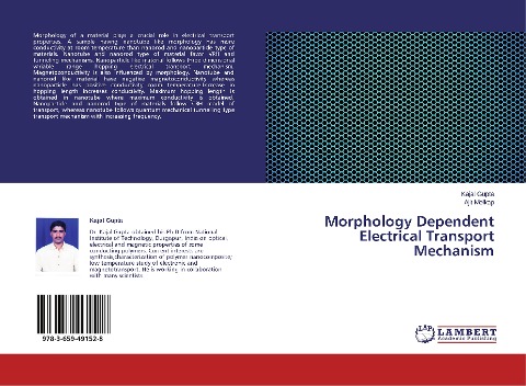 Morphology Dependent Electrical Transport Mechanism