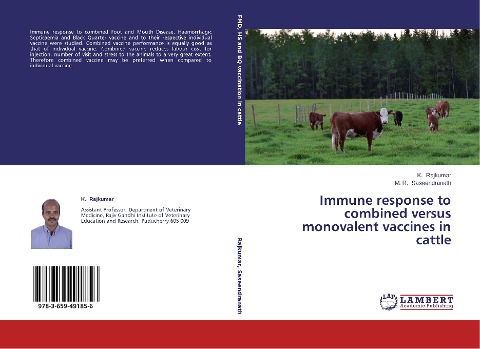 Immune response to combined versus monovalent vaccines in cattle