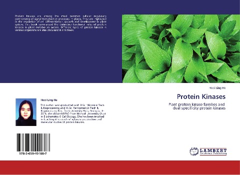 Protein Kinases: Plant protein kinase families and dual specificity protein kinases