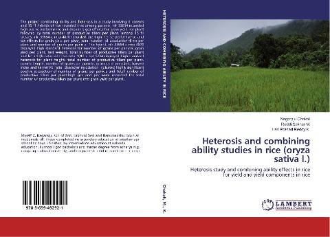 Heterosis and combining ability studies in rice (oryza sativa l.): Heterosis study and combining ability effects in rice for yield and yield components in rice