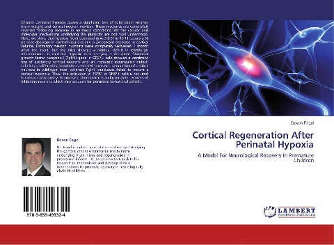 Cortical Regeneration After Perinatal Hypoxia: A Model For Neurological Recovery In Premature Children