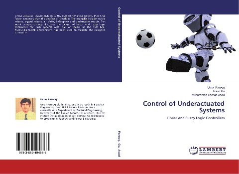 Control of Underactuated Systems: Linear and Fuzzy Logic Controllers