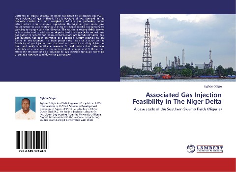 Associated Gas Injection Feasibility In The Niger Delta: A case study of the Southern Swamp Fields (Nigeria)