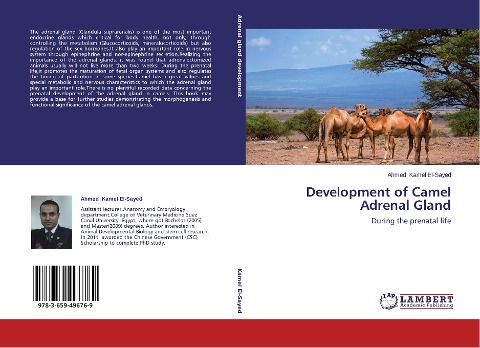 Development of Camel Adrenal Gland: During the prenatal life