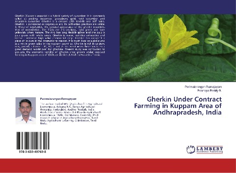 Gherkin Under Contract Farming in Kuppam Area of Andhrapradesh, India