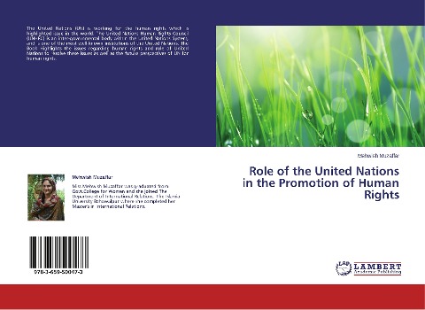 Role of the United Nations in the Promotion of Human Rights