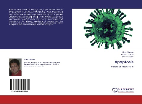 Apoptosis: Molecular Mechanism
