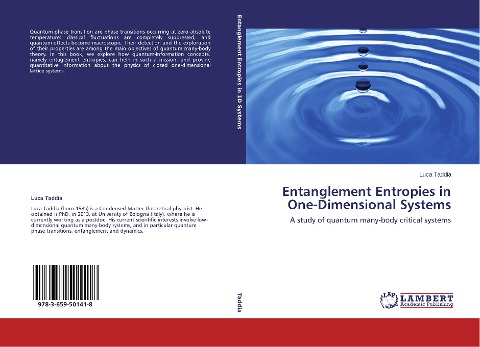 Entanglement Entropies in One-Dimensional Systems: A study of quantum many-body critical systems