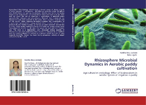 Rhizosphere Microbial Dynamics in Aerobic paddy cultivation: Agricultural microbiology- Effect of bioinoculants in aerobic system of irrigation in paddy