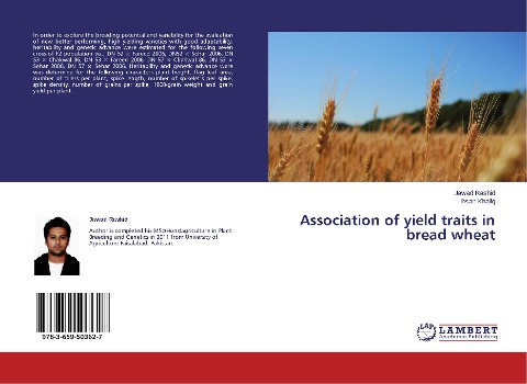 Association of yield traits in bread wheat
