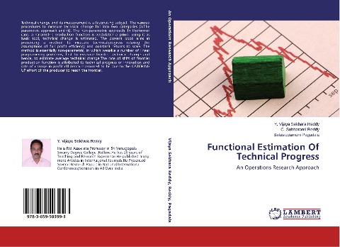 Functional Estimation Of Technical Progress: An Operations Research Approach