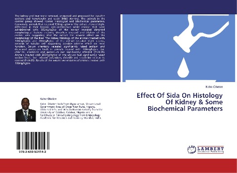 Effect Of Sida On Histology Of Kidney & Some Biochemical Parameters