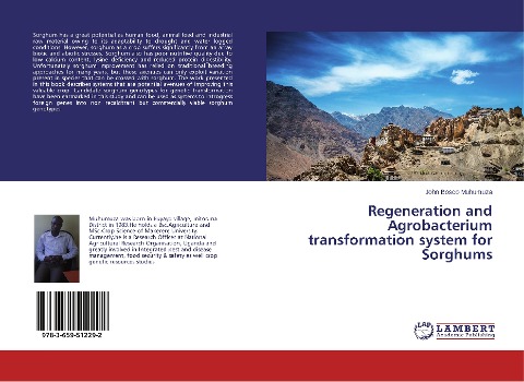 Regeneration and Agrobacterium transformation system for Sorghums