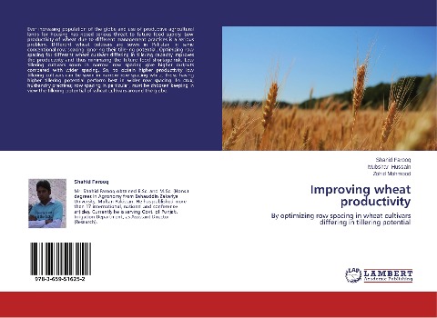 Improving wheat productivity: By optimizing row spacing in wheat cultivars differing in tillering potential