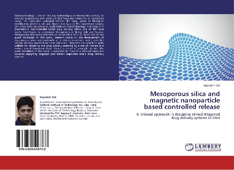 Mesoporous silica and magnetic nanoparticle based controlled release: A rational approach in designing stimuli triggered drug delivery systems in vitro