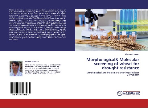 Morphological& Molecular screening of wheat for drought resistance: Morphological and Molecular Screening of Wheat Germplasm