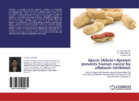 Ajocin (Allicin+Ajoene) prevents human cancer by aflatoxin inhibition: Role of ajocin in human cancer prevention by controlling aflatoxin biosynthesis during pre and post harvest of peanuts