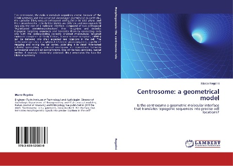Centrosome: a geometrical model: Is the centrosome a geometric molecular interface that translates topogenic sequences into precise cell locations?