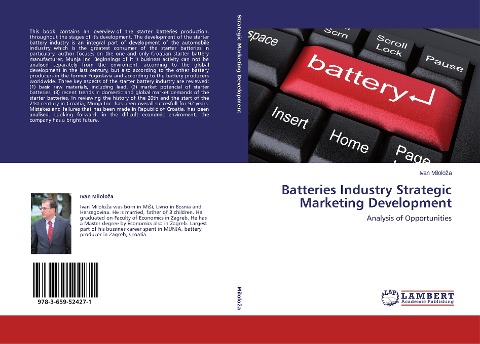 Batteries Industry Strategic Marketing Development: Analysis of Opportunities