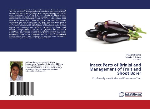 Insect Pests of Brinjal and Management of Fruit and Shoot Borer: Eco-friendly Insecticides and Pheromone Trap