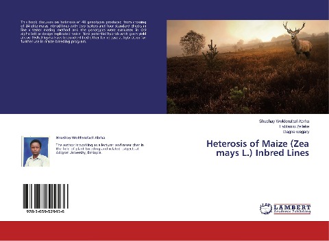 Heterosis of Maize (Zea mays L.) Inbred Lines