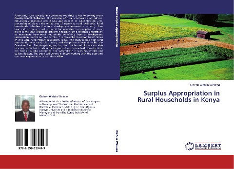 Surplus Appropriation in Rural Households in Kenya