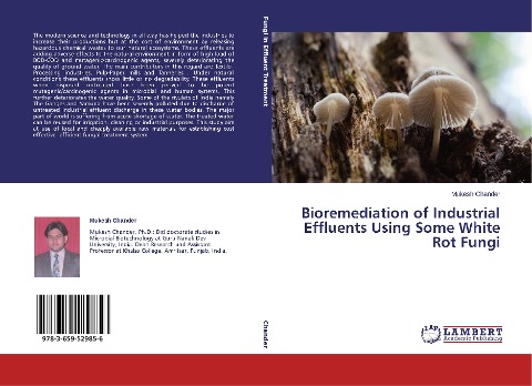 Bioremediation of Industrial Effluents Using Some White Rot Fungi