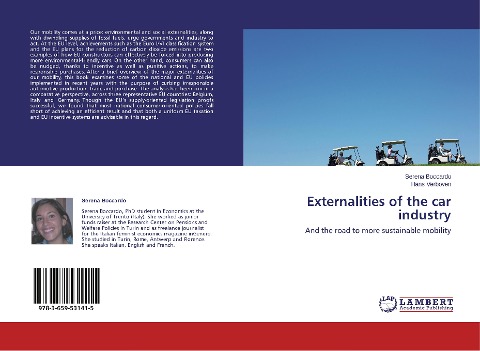 Externalities of the car industry: And the road to more sustainable mobility