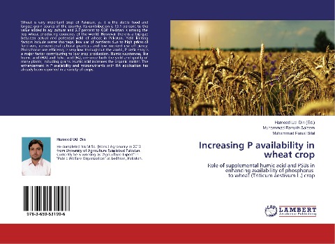 Increasing P availability in wheat crop: Role of supplemental humic acid and PSBs in enhancing availability of phosphorus to wheat (Triticum aestivum L.) crop