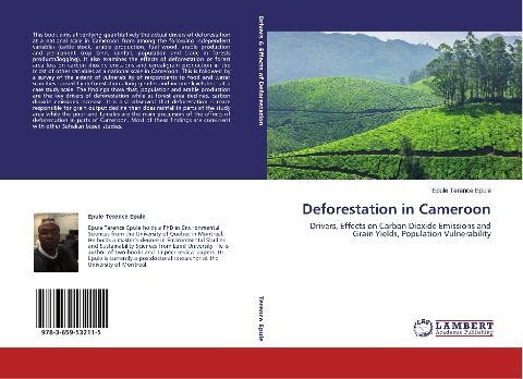 Deforestation in Cameroon: Drivers, Effects on Carbon Dioxide Emissions and Grain Yields, Population Vulnerability
