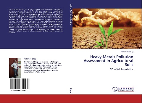Heavy Metals Pollution Assessment in Agricultural Soils: GIS in Soil Remediation