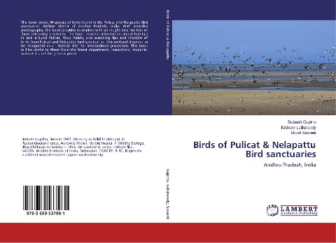 Birds of Pulicat & Nelapattu Bird sanctuaries: Andhra Pradesh, India