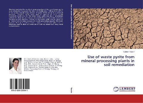 Use of waste pyrite from mineral processing plants in soil remediation