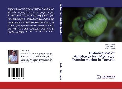 Optimization of Agrobacterium Mediated Transformation in Tomato