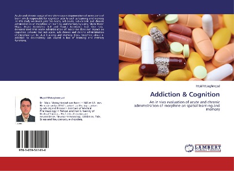 Addiction & Cognition: An in vivo evaluation of acute and chronic administration of morphine on spatial learning and memory