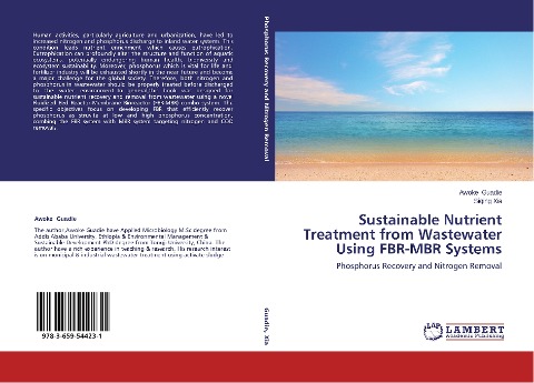 Sustainable Nutrient Treatment from Wastewater Using FBR-MBR Systems: Phosphorus Recovery and Nitrogen Removal