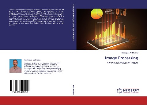 Image Processing: Conceptual Analysis of Images