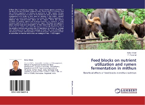 Feed blocks on nutrient utilization and rumen fermentation in mithun: Beneficial effects of feed blocks in mithun nutrition