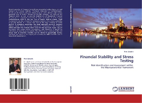 Financial Stability and Stress Testing: Risk Identification and Assessment within the Macroprudential Framework
