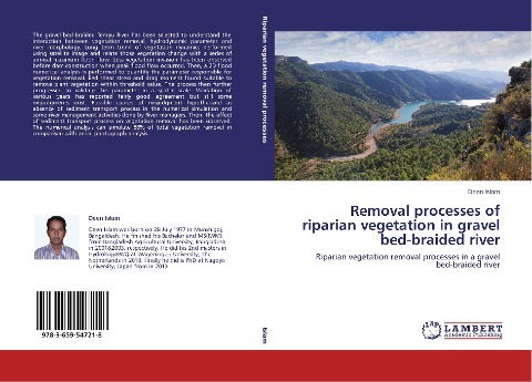 Removal processes of riparian vegetation in gravel bed-braided river: Riparian vegetation removal processes in a gravel bed-braided river