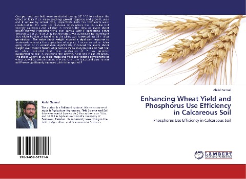 Enhancing Wheat Yield and Phosphorus Use Efficiency in Calcareous Soil: Phosphorus Use Efficiency in Calcareous Soil