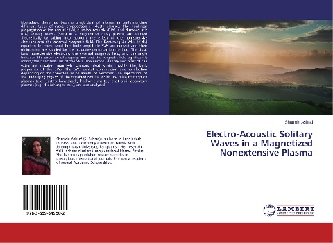 Electro-Acoustic Solitary Waves in a Magnetized Nonextensive Plasma