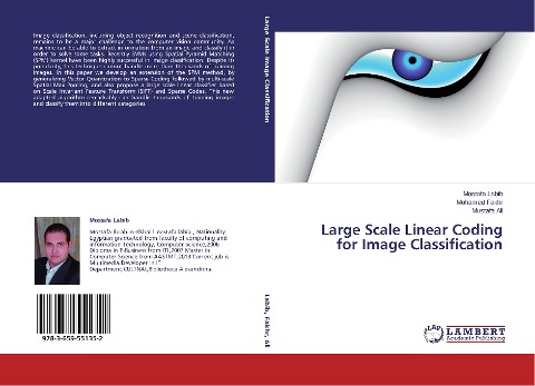 Large Scale Linear Coding for Image Classification