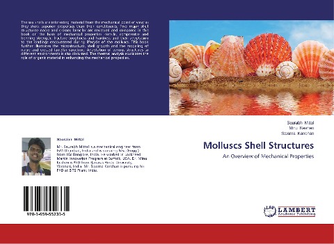 Molluscs Shell Structures: An Overview of Mechanical Properties