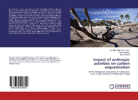 Impact of anthropic activities on carbon sequestration: of the mangrove ecosystem in Cameroon, Case study: Manoka and Mbanga Pongo
