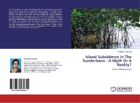 Island Subsidence In The Sunderbans - A Myth Or A Reality?: Some Observations
